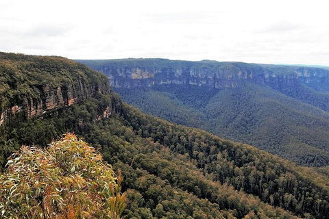 Blue Mountains - Perth Resorts 3