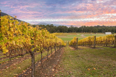 Yarra Valley Boutique Winery Tour From Melbourne - Accommodation Perth 3