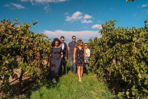 Barossa Valley Private Tour (from 2 To 11 People) - Accommodation Perth 0