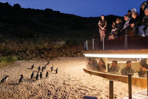 Wilson's Promontory & Phillip Island - 'Prom & Penguins' Tour - Perth Resorts 3