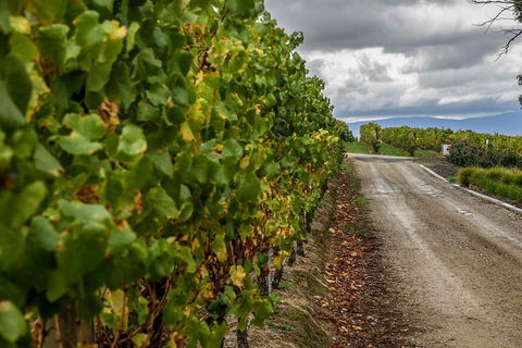 Yarra Valley Public Winery Tours - Accommodation Perth 2