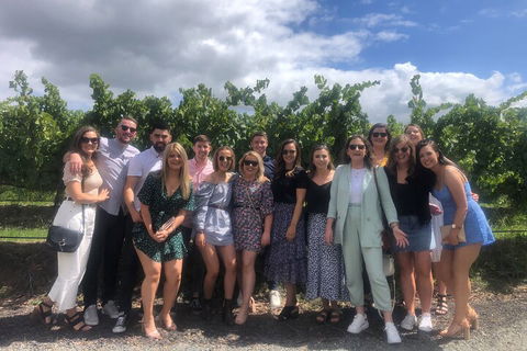 Yarra Valley Public Winery Tours - Accommodation Perth 3