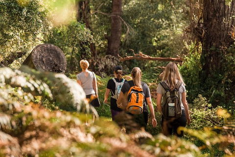 Cabaret Cave Yoga & Mindful Hike - Perth Resorts 2