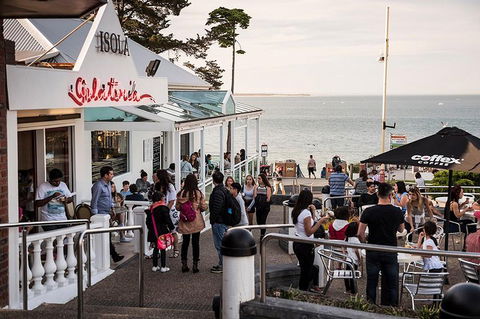 Phillip Island And French Island Wildlife Expedition - Perth Resorts 0