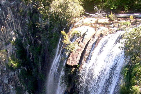 Byron Bay Combo: Hinterland Tour Including Minyon Falls And Kayaking With Dolphins - Accommodation Perth 3
