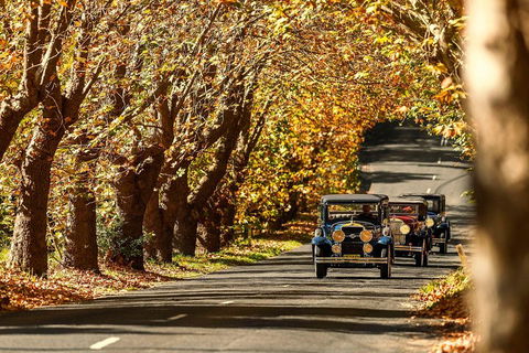 Blue Mountains Vintage Cadillac Tour With Local Guide - Accommodation Perth 1