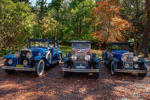 Blue Mountains Vintage Cadillac Tour With Local Guide - Accommodation Perth 4