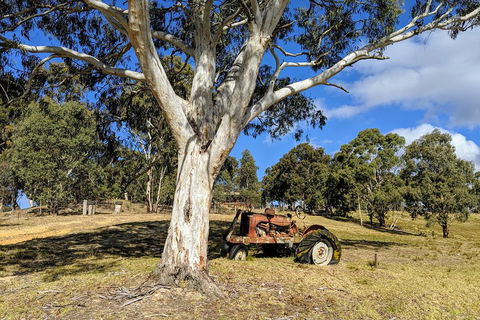 Blue Mountains Private Tour - Wild Kangaroos, Waterfalls And The Three Sisters - Perth Resorts 1