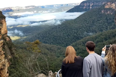 Blue Mountains Private Tour - Wild Kangaroos, Waterfalls And The Three Sisters - Perth Resorts 3