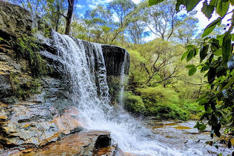 Blue Mountains Private Tour - Wild Kangaroos, Waterfalls And The Three Sisters - Perth Resorts 5