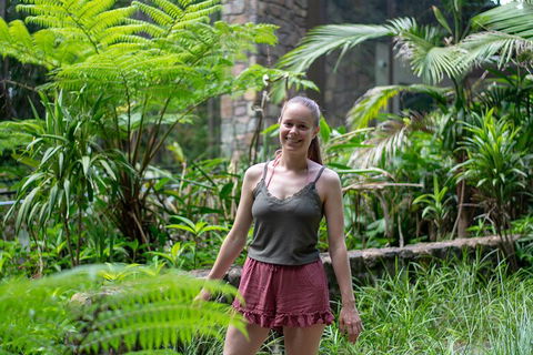 Full-Day Guided Hinterland Adventure Tour In Queensland - Accommodation Perth 0