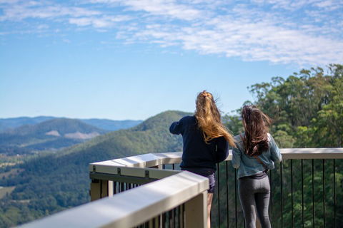 Full-Day Guided Hinterland Adventure Tour In Queensland - Accommodation Perth 5