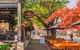 Barossa Valley Full-Day Tour From Adelaide With Maggie Beer Farm - thumb 1