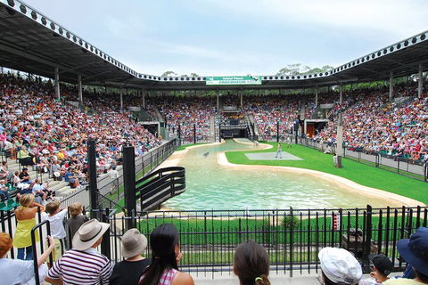 Croc Express To Australia Zoo From Gold Coast - Accommodation Perth 2