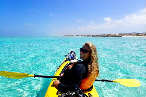 Lagoon Explorer - Ningaloo Reef Full-Day Kayaking And Snorkeling Adventure - Accommodation Perth 1