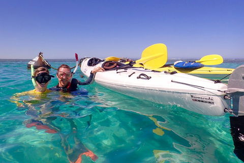 Lagoon Explorer - Ningaloo Reef Full-Day Kayaking And Snorkeling Adventure - Accommodation Perth 3