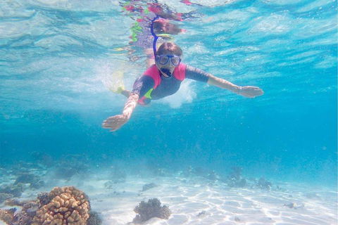 Lagoon Explorer - Ningaloo Reef Full-Day Kayaking And Snorkeling Adventure - Accommodation Perth 5