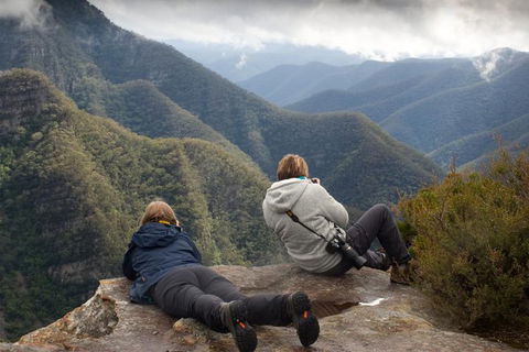 Inside The Greater Blue Mountains World Heritage - A Private Wildlife Safari Overnight - Accommodation Perth 0