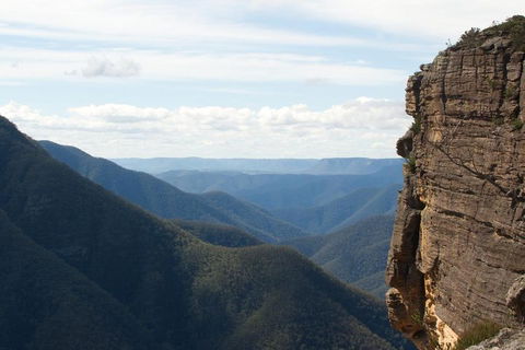 Inside The Greater Blue Mountains World Heritage - A Private Wildlife Safari Overnight - Accommodation Perth 4