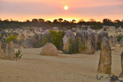 Pinnacle Desert Sunset And Stargazing With Dinner - Accommodation Perth 5