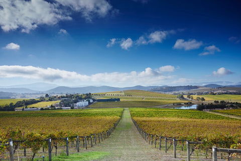 Yarra Valley Wine And Wildlife Self-Driving Tour - Accommodation Perth 1