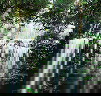 Mt Field National Park and Russell Falls from Hobart - Accommodation Perth