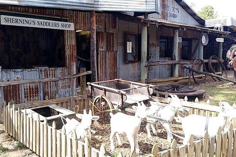 Full Day Atherton Tablelands Tour From Cairns - Accommodation Perth 4