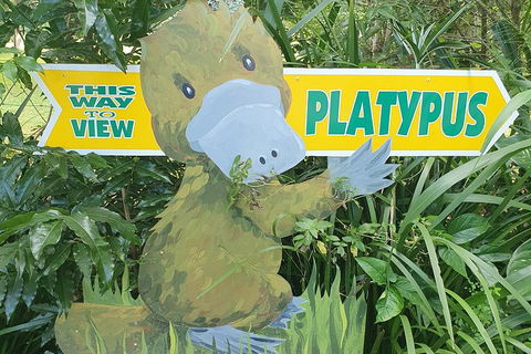 Full Day Atherton Tablelands Tour From Cairns - Accommodation Perth 5