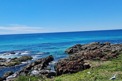 Private Custom Byron Bay Day Out - Accommodation Perth 4
