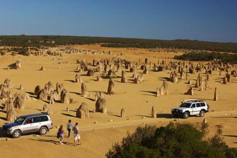 1-Day Pinnacles And Yanchep Tour From Perth Including Fish And Chips Lunch - Accommodation Perth 0
