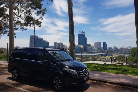1-Day Pinnacles And Yanchep Tour From Perth Including Fish And Chips Lunch - Accommodation Perth 1
