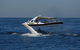 Mooloolaba Whale Watching Tour - thumb 5