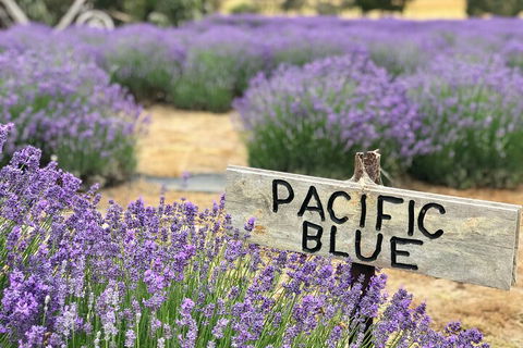 Kangaroo Island Half Day Food And Wine Trail Tour - Accommodation Perth 5