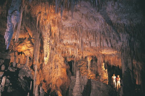 2-Day Margaret River Wine Experience From Perth - Accommodation Perth 2