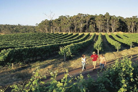 2-Day Margaret River Wine Experience From Perth - Accommodation Perth 3