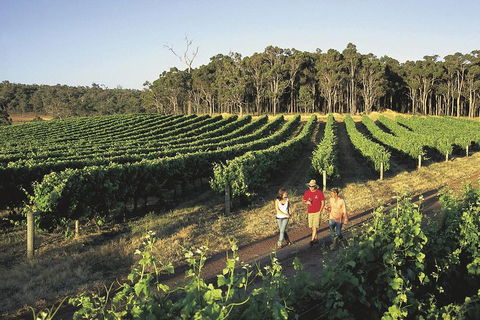 Margaret River, Caves, Wine And Cape Leeuwin Lighthouse Tour From Perth - Accommodation Perth 1