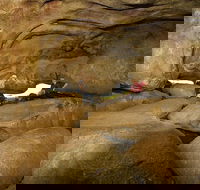 2-Day Wave Rock York Wildflowers  Aboriginal Experience - Accommodation Perth
