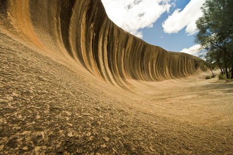 Wave Rock, York, Wildflowers, And Aboriginal Cultural Day Tour From Perth - Accommodation Perth 0