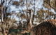 Wave Rock, York, Wildflowers, And Aboriginal Cultural Day Tour From Perth - thumb 4