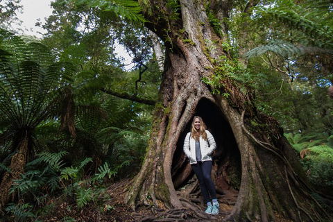 Two Day Melbourne To Adelaide Tour - Great Ocean Road & Grampians - Perth Resorts 4