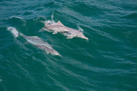 North Stradbroke Island Private Tour With Pickup - Perth Resorts 0