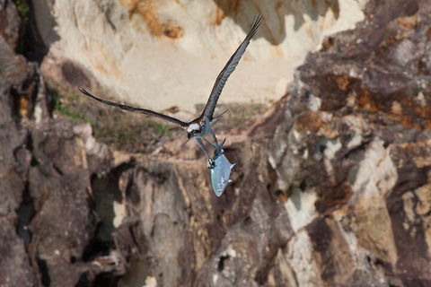 North Stradbroke Island Private Tour With Pickup - Perth Resorts 2