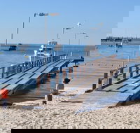 Monkey Mia Dolphins  Shark Bay Air Tour From Perth - Accommodation Perth