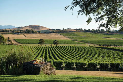 Small Group 6 Guests: Ultimate Yarra Valley Food And Wine - Mercedes Van - Accommodation Perth 4