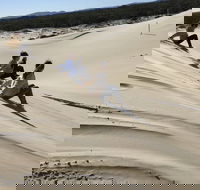 Port Stephens Bush Beach and Sand Dune 4WD Tag-Along Tour - Accommodation Perth