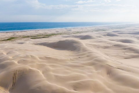 Port Stephens Bush, Beach And Sand Dune 4WD Passenger Tour - Accommodation Perth 2