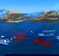 3-Hour Byron Bay Certified Scuba Diving Tour - Accommodation Perth