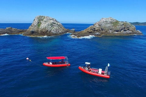 3-Hour Byron Bay Certified Scuba Diving Tour - Accommodation Perth 0