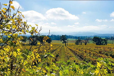 Yarra Valley Wine & Food Tour Departing From Melbourne - Accommodation Perth 4