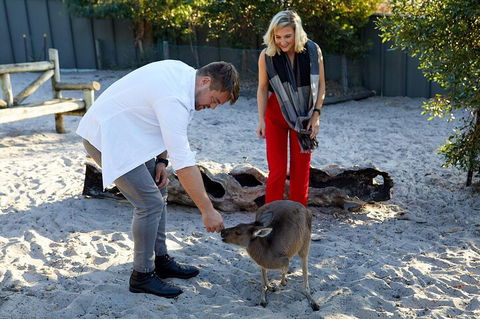 Albany's Whale Story - Accommodation Perth 1